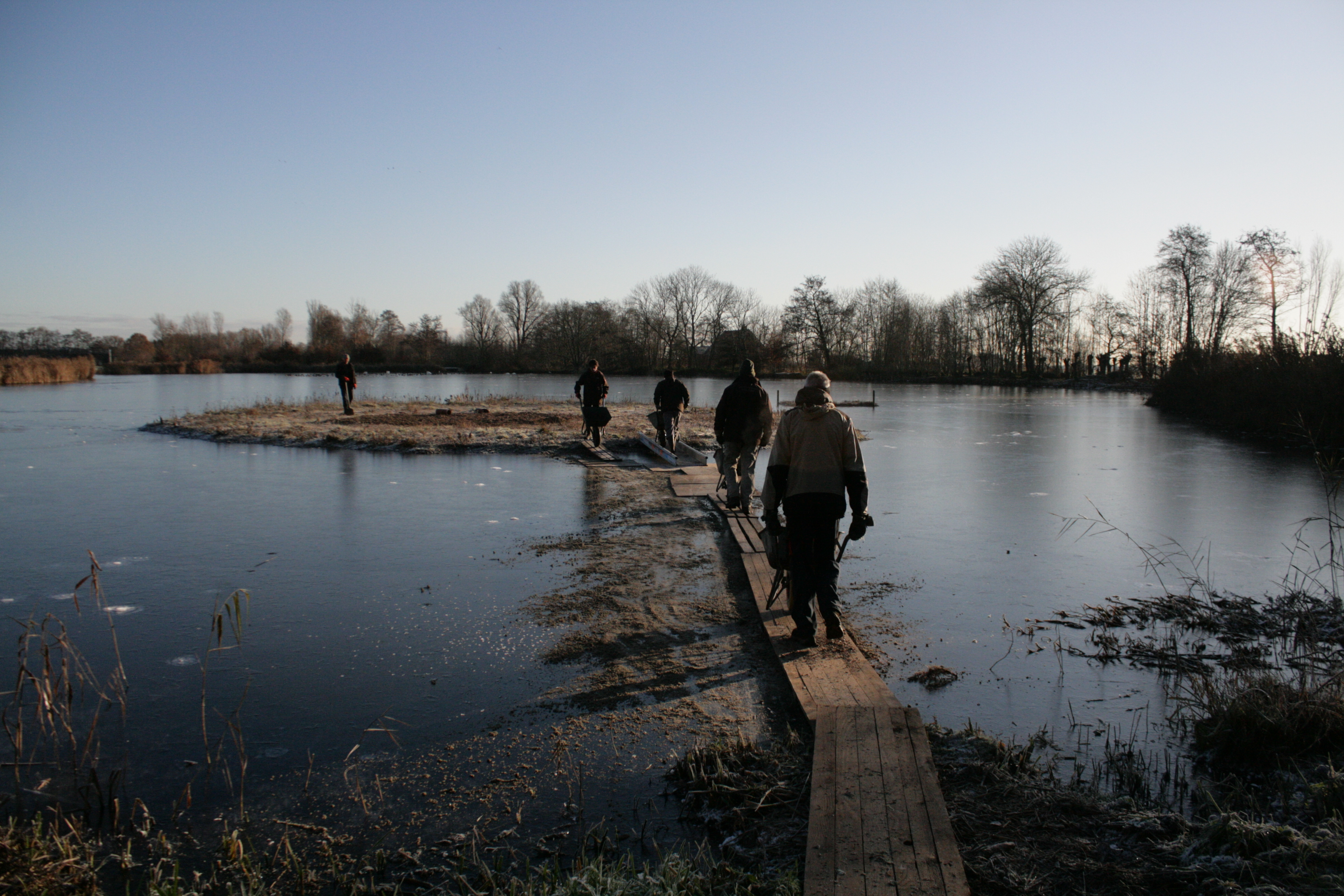 Knotploeg (Spookverlaat). Foto van Margot Klingers.